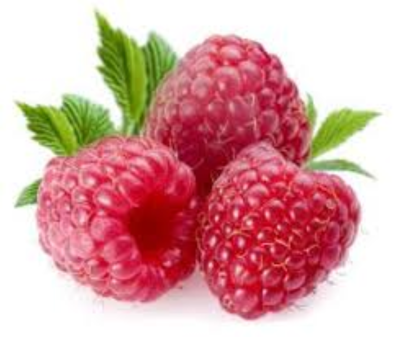 EVERGREEN RASPEBERRY 125G